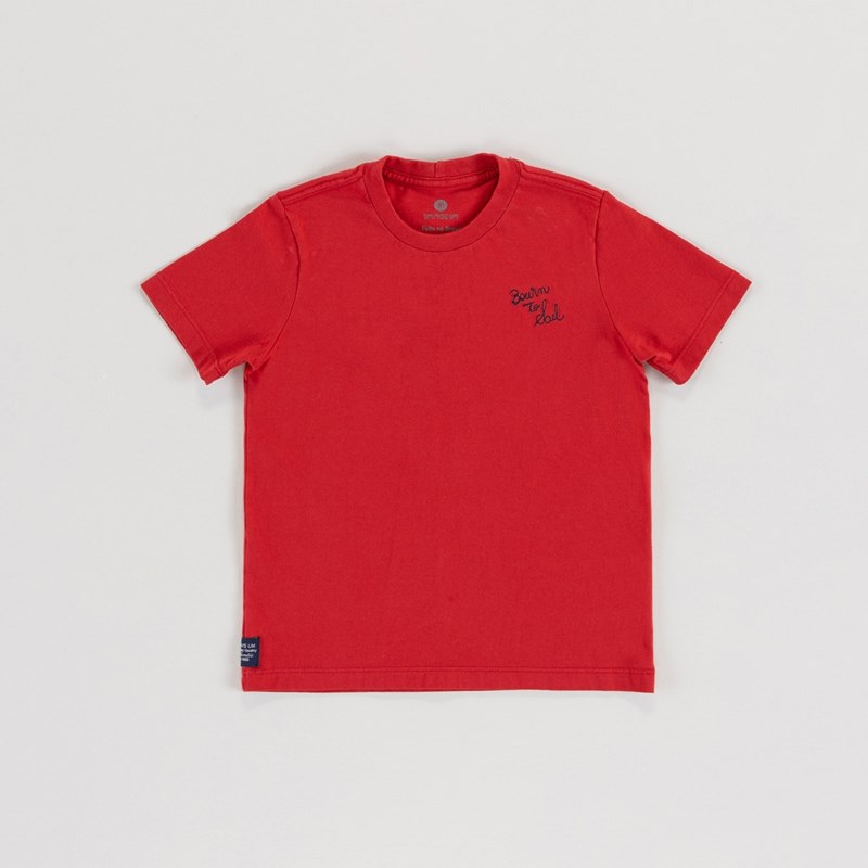 T-Shirt Infantil Masculina Com Bordado Frontal E Silk Nas Costas Vermelho